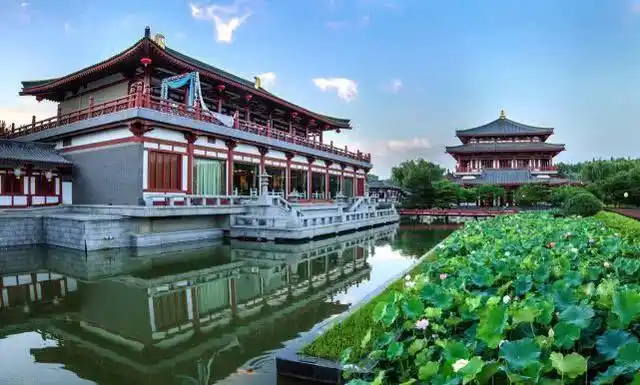 看长安十二时辰:欣赏唐朝园林,苑中万物生颜色,看尽长安牡丹花