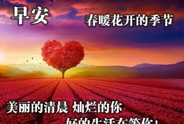 早上好唯美暖心问候语早安祝福语漂亮图片
