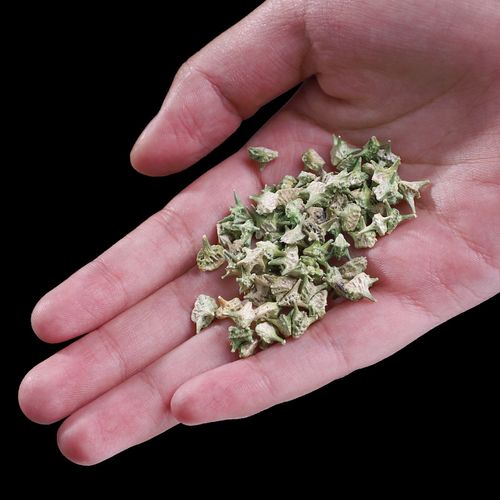 蒺藜白蒺藜中药材500g正品中草药中药野生特级其他药食同源食品