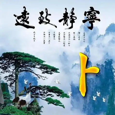 2021宁静致远风景姓氏头像丨有白鹤迎客松赶紧来抱图吧