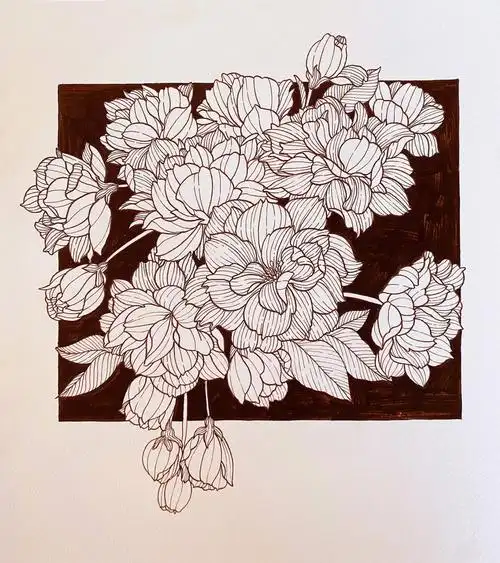 晚樱🌸 花卉线描33