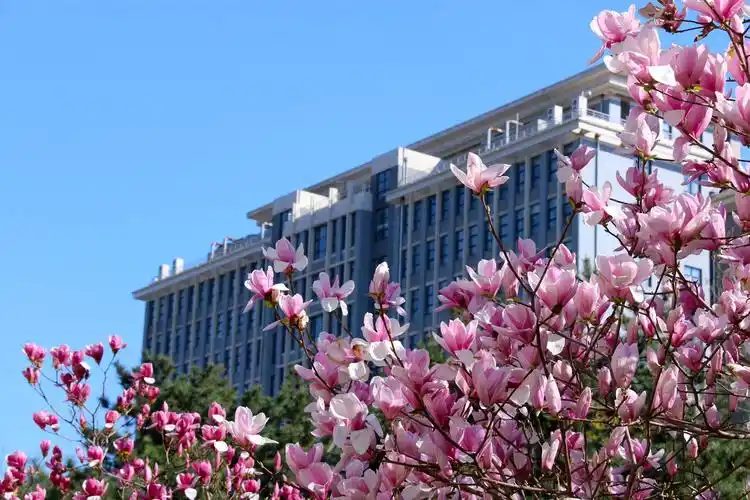 高校招生面对面丨北方工业大学:教育部"卓越工程师培养项目"院校