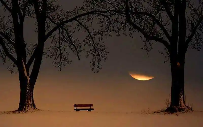 一盏楛酒,人生几度秋凉——苏轼的孤独时日