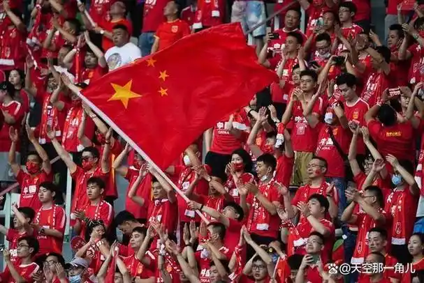 致敬-最可爱的中国球迷