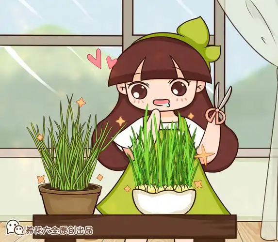 窍门买菜太贵了空花盆种菜过年就能吃上