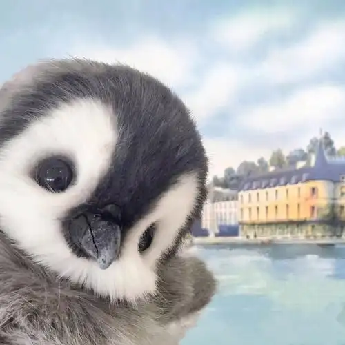 超可爱的小企鹅头像