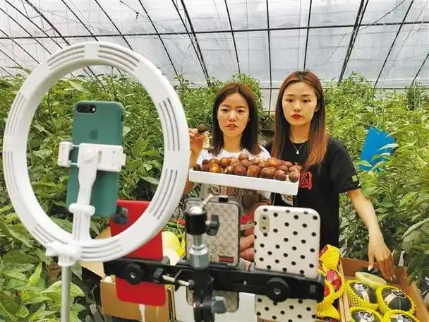 直播带货助农增收|农产品|农副产品|渭南_网易订阅