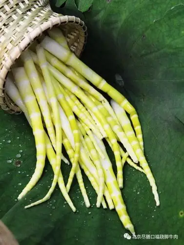 「刺笋」入锅:一年仅能吃7天的峨眉至味!