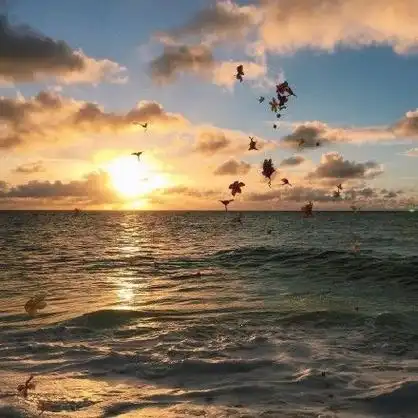 有没有一眼就很舒适的微信头像?