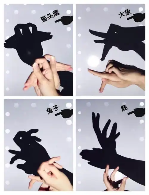 目标:通过观察,想象,能根据灯光呈现的影子来初步辨别动物.