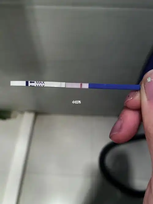 早早孕可丽蓝显示有大卫没有这到底有还是