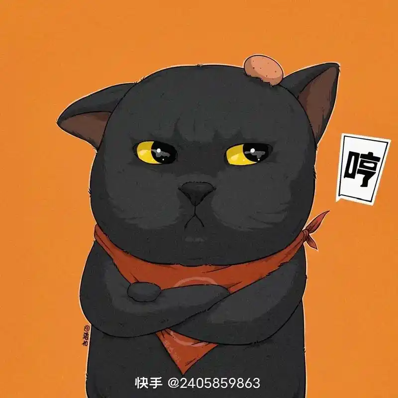 简直是为蛋白和jojo量身定制的头像一只英短蓝猫一只异瞳白猫