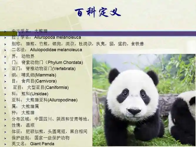 大熊猫介绍专栏