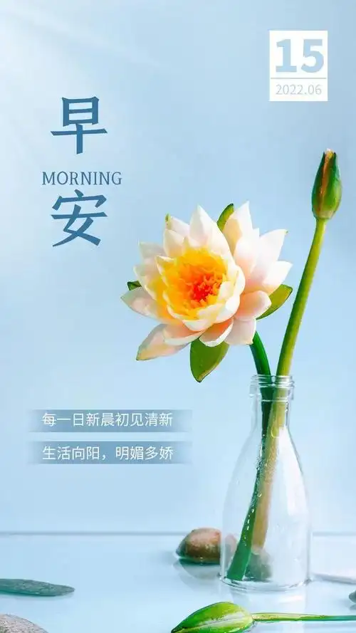 每一日新晨初见清新,生活向阳,明媚多娇!早上好,周三!