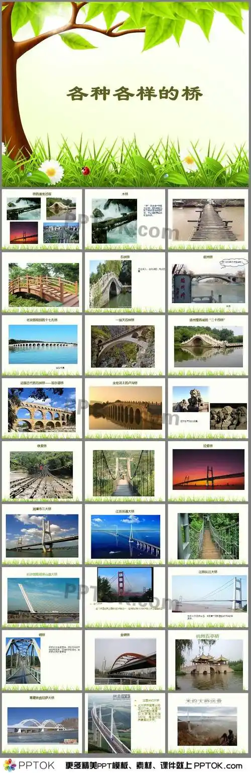 各式各样的桥ppt