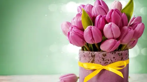 壁纸 粉红色的郁金香,花束,花瓶,缎带