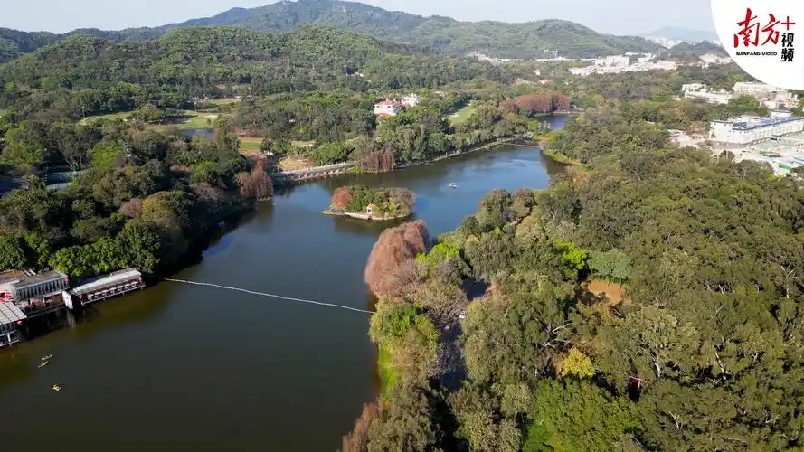 大年初三天气放晴,广州麓湖公园游人如织丨南方 视频