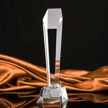 定制水晶玻璃奖杯 创意纪念品学生比赛奖杯制作企业礼品 k9 250mm*