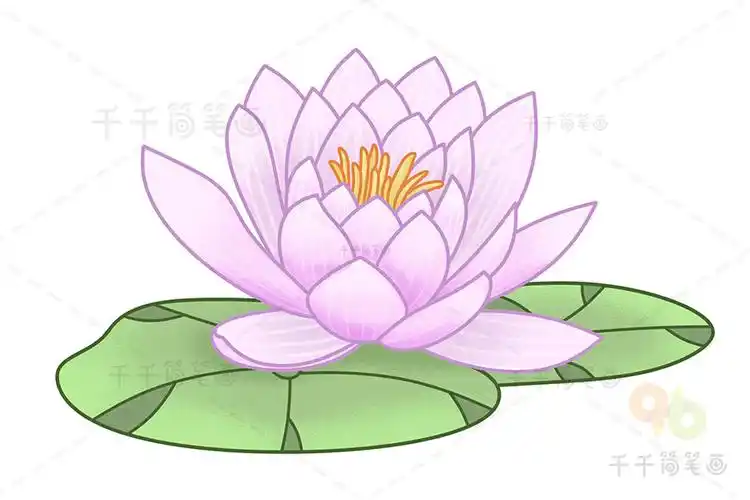 睡莲简笔画简单又漂亮