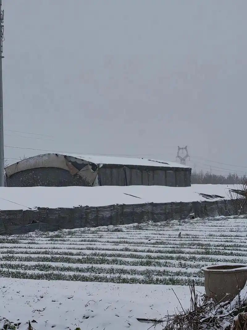 2023年的雪#农村雪景 #你的城市下雪了吗 #2023第一 - 抖音