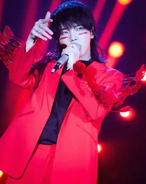 华晨宇多大了真实年龄,迪丽热巴多少岁,本文共(1795字)