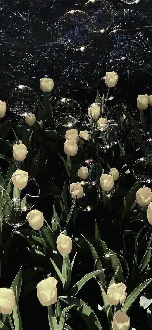 壁纸|很值得称赞的小众锁屏壁纸