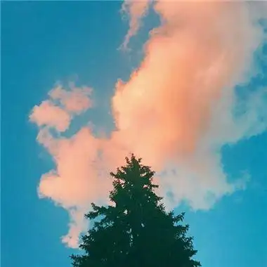 唯美风景头像图片大全高清