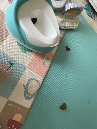 您们都怎么锻炼拉臭臭的,我家不爱做马桶