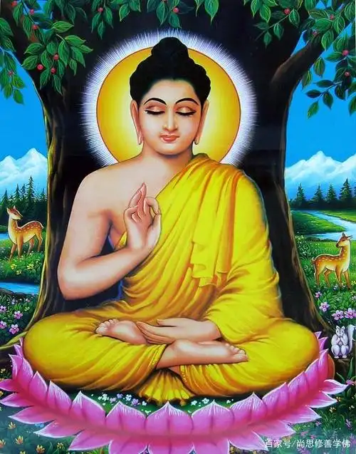 供养在朋友圈,功德无量释迦牟尼佛菩提树下,悟道成佛039佛陀菩提树下