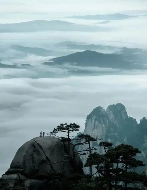 最美的风景图片大全鸟语花香人间仙境图片