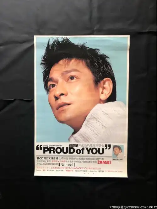 刘德华你是我的骄傲台海报