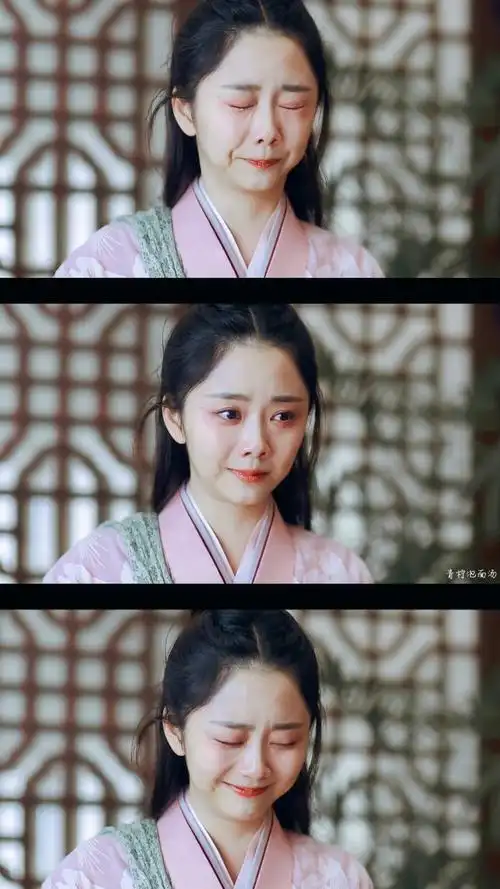 锦衣之下袁今夏