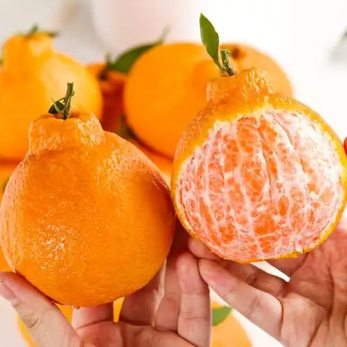 四川不知火丑橘水果新鲜当季整箱10斤丑八怪耙耙桔柑橘子粑粑礼盒