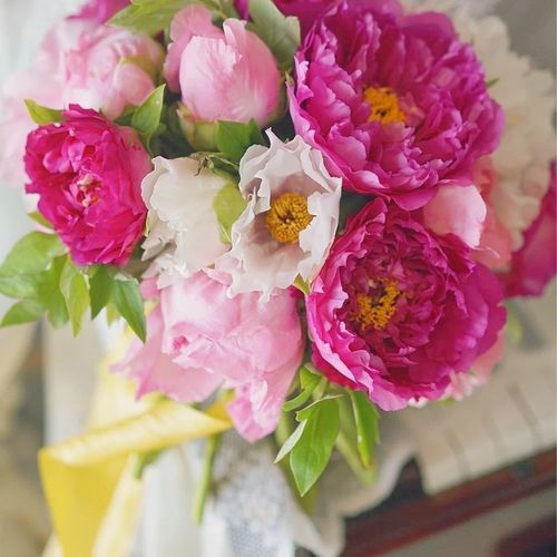 现货牡丹花鲜花重瓣单瓣大牡丹大芍药鲜花洛阳牡丹鲜花母亲节鲜花【10