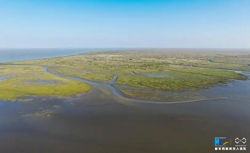 美丽中国长江行:共舞长江经济带·生态篇 红网专题