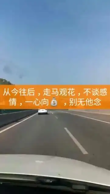 从今往后,走马观花,不谈感情,一心向 ,别无他念 412        赞