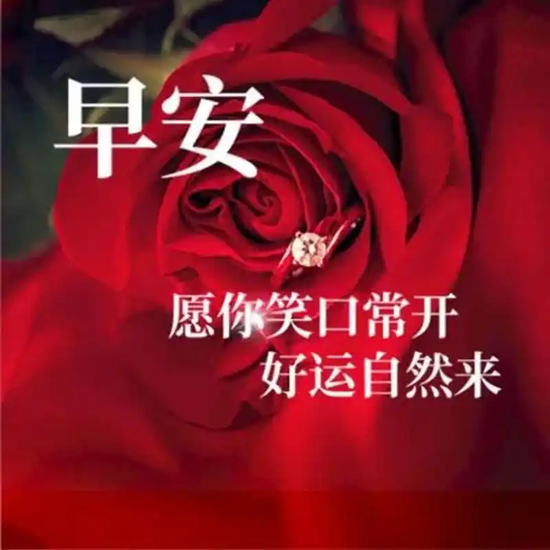 新版早上好图片带字带祝福语,愿我们事事如意!