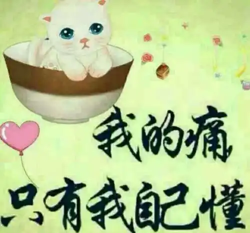 孤独的时候,脑岛会被激活,那就是管理疼痛的呀,好吧,选择自己需要什么