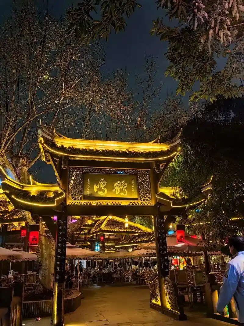 总要去一趟成都吧,吹一吹太古里的晚风,逛一逛春熙路,看一看大熊猫