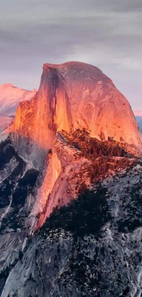 iphonex壁纸-标题是随便取的-3期