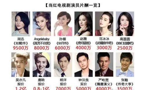 大s综艺酬劳2000万,章子怡出场费半亿,明星酬劳居高不下?