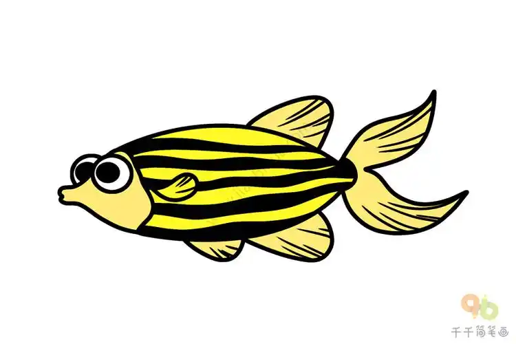 美丽的热带斑马鱼简笔画