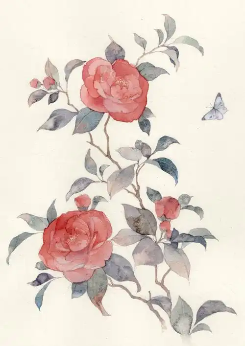 手绘水彩花卉作者山人辰露