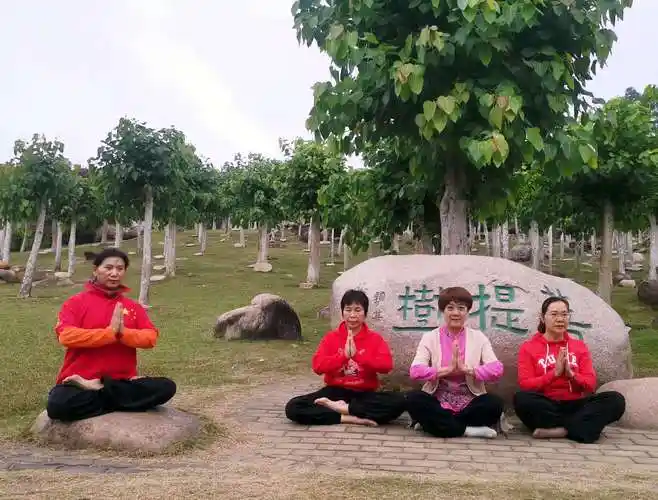 师姐们在菩提树下打坐修炼.