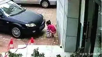 不要随地大小便-要从娃娃抓起,宠物管起