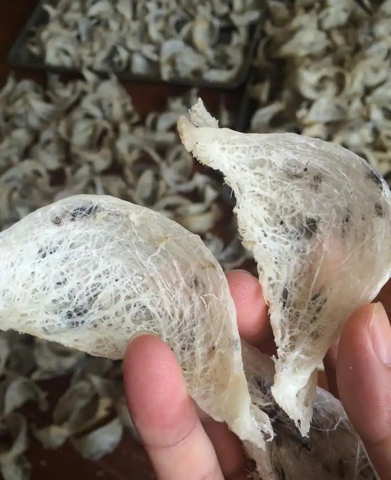 一燕屯揭秘燕窝行业话术,史上最全面的燕窝知识分享