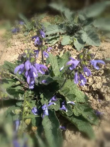 发展产业,助推脱贫 - 美篇