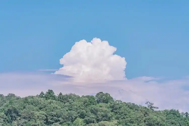 干净清新温柔背景图来啦!