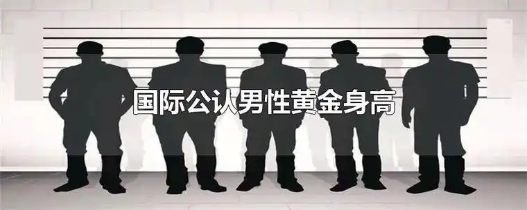 国际公认男性黄金身高