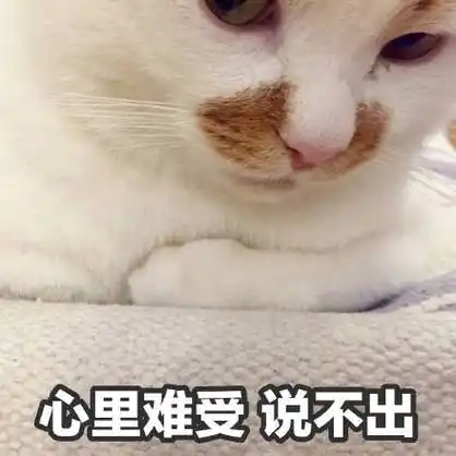 心里难受 说不出(猫咪)_猫咪_难受_说不出_心里表情
